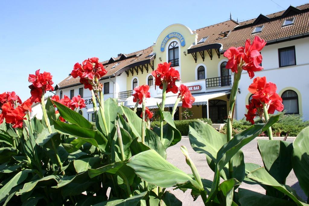 Hotel Orchidea Balástya Exterior foto